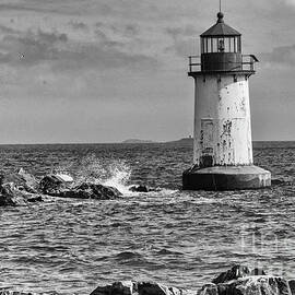 Winter Island in Black and White by Ruth H Curtis