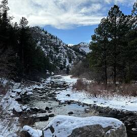 Winter on the River  by Christy Pooschke