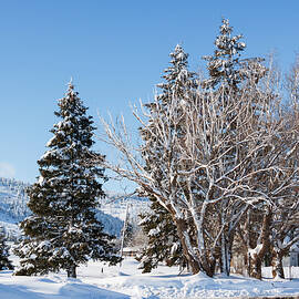 Winter scene in Spencer Idaho by Tatiana Travelways