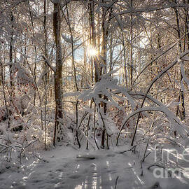 Winter Scene nr. Bad Toelz by Edmund Nagele FRPS