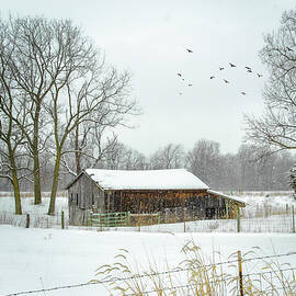 Winter Snow Barn by Mary Timman