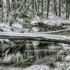 Winter Snowy Stream by Elaine Manley