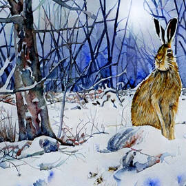 Winter Solstice Hare