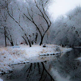 Frigid Winter Stillness by Andrea Whitaker