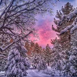 Winter Sunrise  by Kristen Cushman