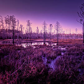 Winter Sunset Marsh Glow by Norma Brandsberg