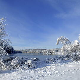 Winter Wonderland by Lyuba Filatova