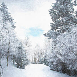 Winter Wonderland by Timo and Rebecca Herranen