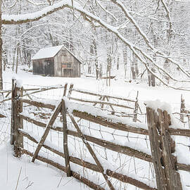 Winter's Mystique   by Thomas Schoeller Fine Art Photography