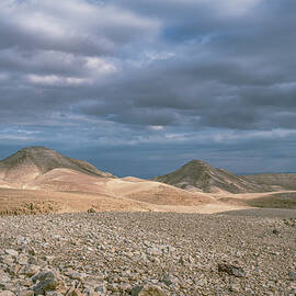 Wintertime in the desert by Dubi Roman