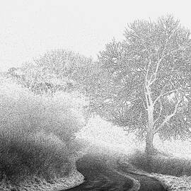 Wintry Country Lane BW by Lynne Iddon
