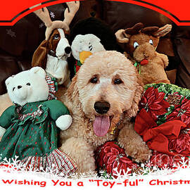 Wishing You A Toy-ful Christmas by Debby Pueschel