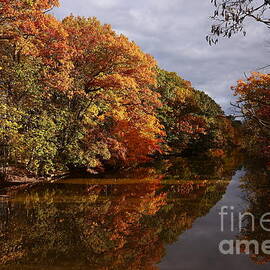 WNY Cayuga Creek in Autumn by fototaker Tony in WNY