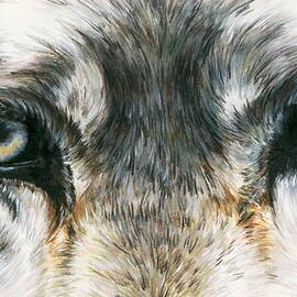 Wolf Peer by Barbara Keith