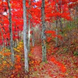 Wonders of Autumn  by Lynn Bauer