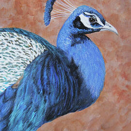 Wondrous Peacock by Linda Goodman