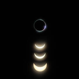 Wondrous - Solar Eclipse 2024 by Adam Matthews