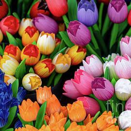Wooden Tulips by DiFigiano Photography