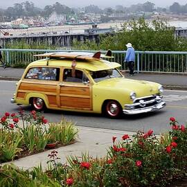 Woodie and Roses by Terry Groben