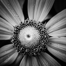wrote a song for you by Matthew Blum