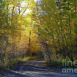 Wyoming Autumn Golden Light by Debby Pueschel
