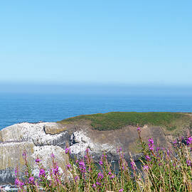 Yaquina Lighthouse by Mary Hone