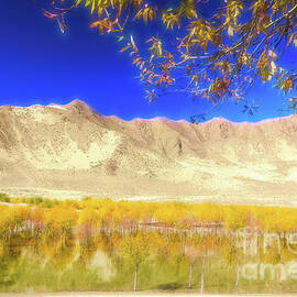 Yellow Autumn in Tibet by Helen Filatova