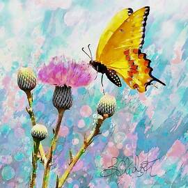 Yellow Butterfly On Thistle by Barbara Chichester