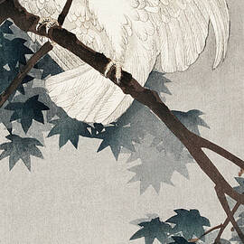 Yellow crested cockatoo in tree by Ohara Koson