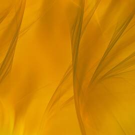 Yellow Curtains/Digital Art by Aleksandrs Drozdovs