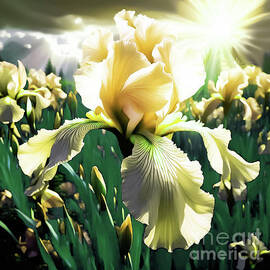 Yellow Iris by Eddie Eastwood