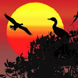 Yellow Orange Red Sun Setting Behind Mangroves And Cormorants Silhouettes by Joan Stratton