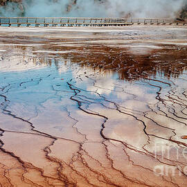 Yellowstone Reflection by Sandra Bronstein