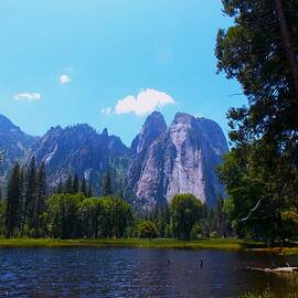 Yosemite Dream Vision by Troy Wilson-Ripsom