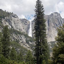 Yosemite Falls 1 by Troy Wilson-Ripsom