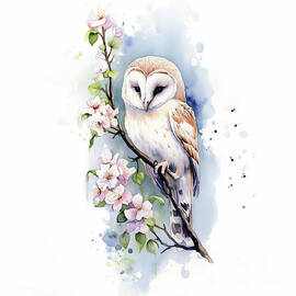 Young Barn Owl by Laura's Creations