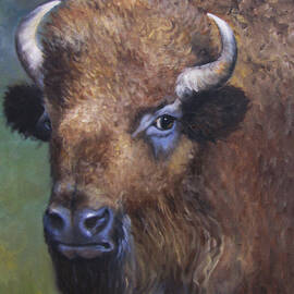 Young Bison From Stratford Oklahoma an Original Artwork by Cheri Wollenberg by Cheri Wollenberg