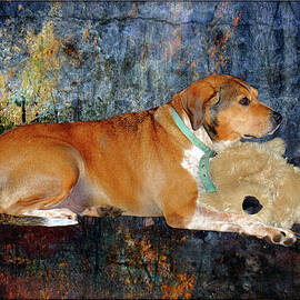 Young Dog With Stuffed Toy by Constance Lowery