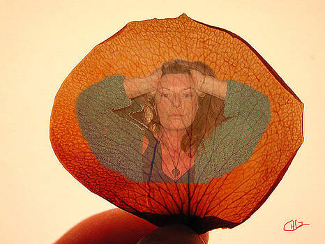 Colette V Hera Guggenheim - Deep Life Reflection Colette V Hera Guggenheim - Deep Life Reflection