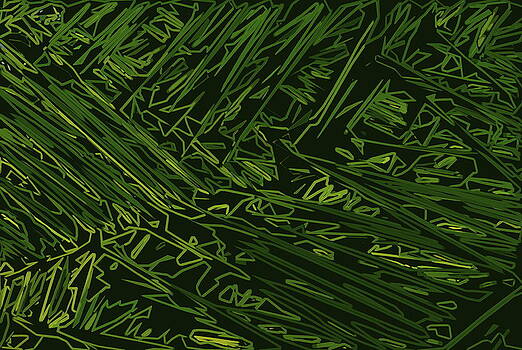 Pamela Cooper - Abstract 286 Pamela Cooper - Abstract 286