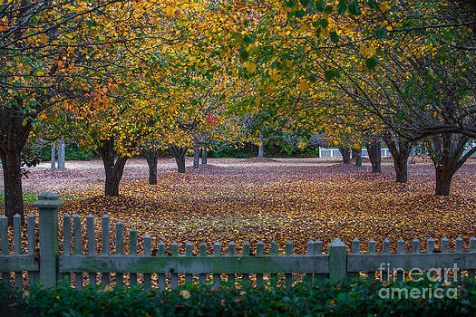Dale Powell - Autumn Splendor Dale Powell - Autumn Splendor