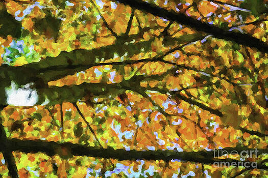 Dale Powell - Autumn Leaves Dale Powell - Autumn Leaves