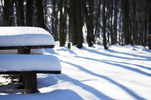 Newnow Photography By Vera Cepic - Bench with snow in forest Newnow Photography By Vera Cepic - Bench with snow in forest