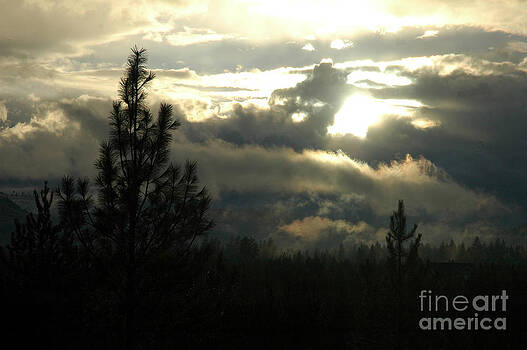 NightVisions - 703P Clouds NightVisions - 703P Clouds