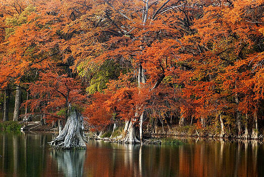 Robert Anschutz - Cypress Colors Robert Anschutz - Cypress Colors