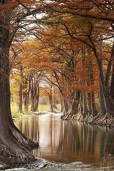 Robert Anschutz - Cypress on the Guadalupe Robert Anschutz - Cypress on the Guadalupe