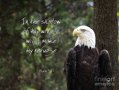 Jill Lang - Eagle Scripture Jill Lang - Eagle Scripture