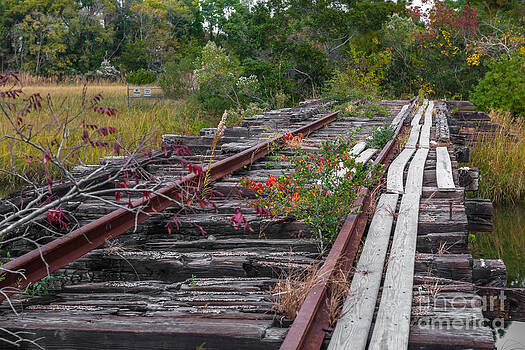 Dale Powell - Train Tracks End of the Line Dale Powell - Train Tracks End of the Line
