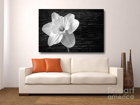 Edward Fielding - Fine art photography in the home Edward Fielding - Fine art photography in the home