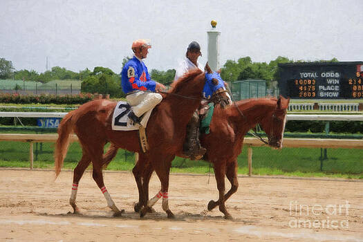 Jill Lang - Horse Racing Jill Lang - Horse Racing